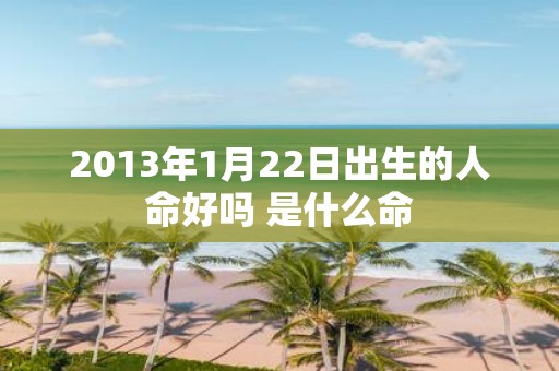 2013年1月22日出生的人命好吗 是什么命