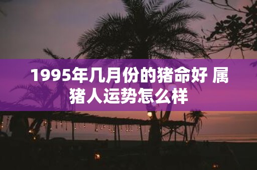 1995年几月份的猪命好 属猪人运势怎么样