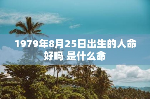 1979年8月25日出生的人命好吗 是什么命
