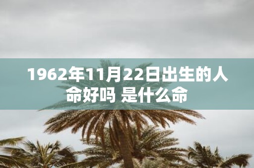 1962年11月22日出生的人命好吗 是什么命