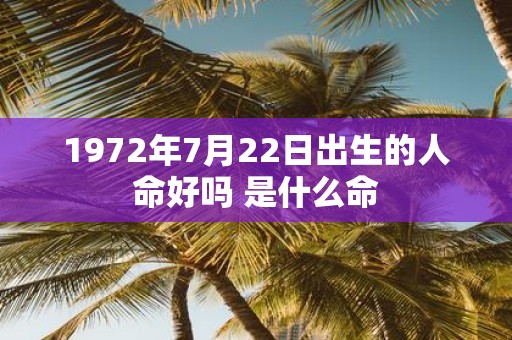 1972年7月22日出生的人命好吗 是什么命