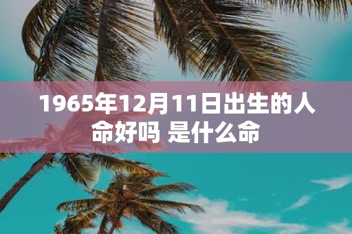 1965年12月11日出生的人命好吗 是什么命