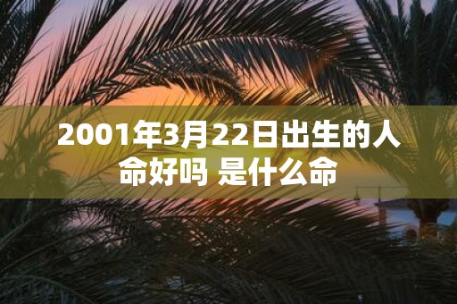 2001年3月22日出生的人命好吗 是什么命