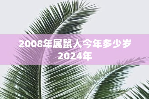 2008年属鼠人今年多少岁2025年