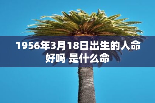 1956年3月18日出生的人命好吗 是什么命