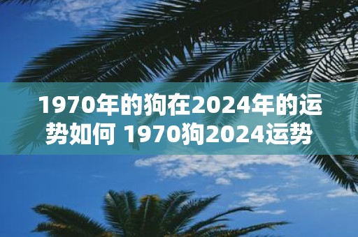 1970年的狗在2025年的运势如何 1970狗2025运势如何