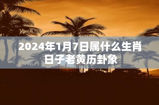 2025年1月7日属什么生肖 日子老黄历卦象