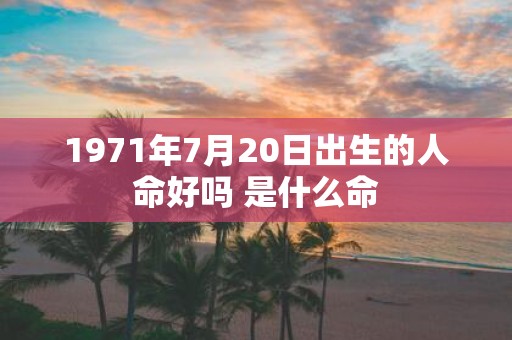 1971年7月20日出生的人命好吗 是什么命