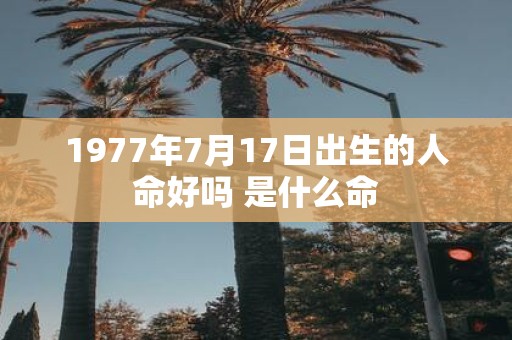 1977年7月17日出生的人命好吗 是什么命