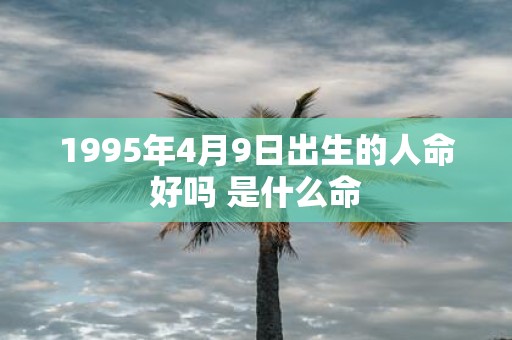 1995年4月9日出生的人命好吗 是什么命
