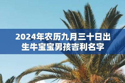 2025年农历九月三十日出生牛宝宝男孩吉利名字