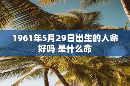 1961年5月29日出生的人命好吗 是什么命