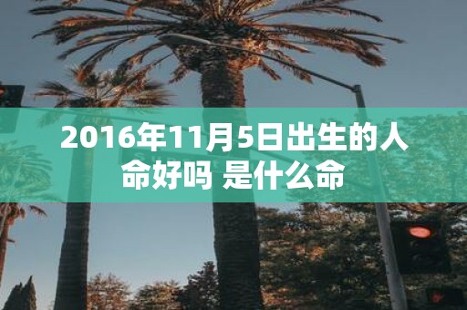 2016年11月5日出生的人命好吗 是什么命
