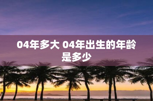 04年多大 04年出生的年龄是多少