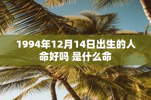 1994年12月14日出生的人命好吗 是什么命