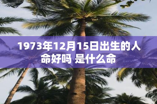 1973年12月15日出生的人命好吗 是什么命
