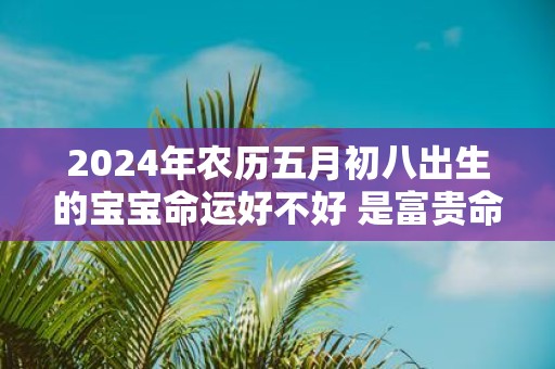 2025年农历五月初八出生的宝宝命运好不好 是富贵命吗
