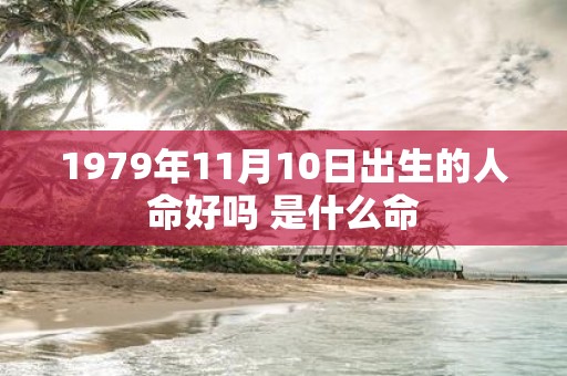 1979年11月10日出生的人命好吗 是什么命