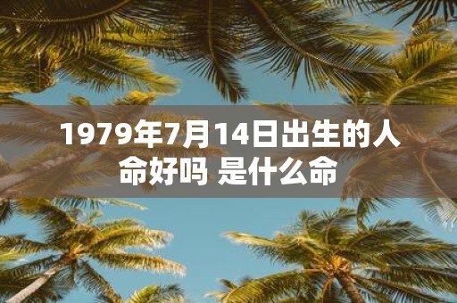 1979年7月14日出生的人命好吗 是什么命