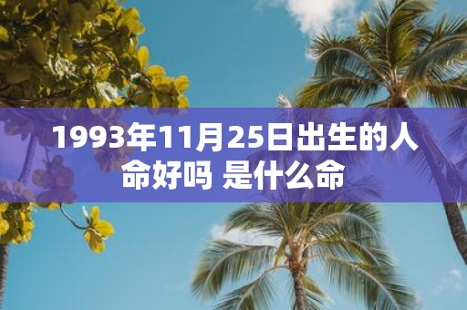 1993年11月25日出生的人命好吗 是什么命