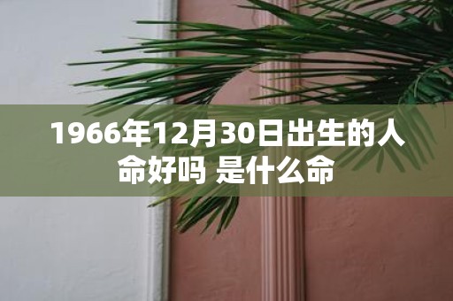 1966年12月30日出生的人命好吗 是什么命