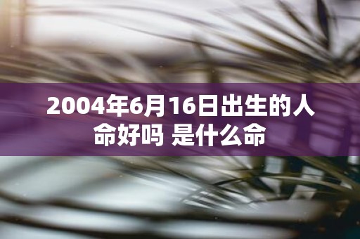 2004年6月16日出生的人命好吗 是什么命