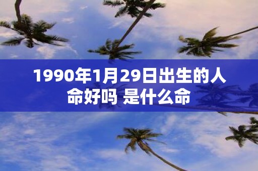 1990年1月29日出生的人命好吗 是什么命