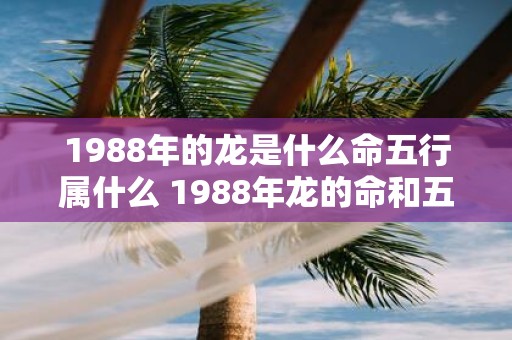 1988年的龙是什么命五行属什么 1988年龙的命和五行是什么