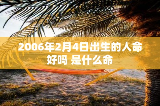 2006年2月4日出生的人命好吗 是什么命
