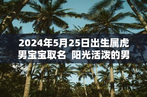 2025年5月25日出生属虎男宝宝取名 阳光活泼的男孩名字