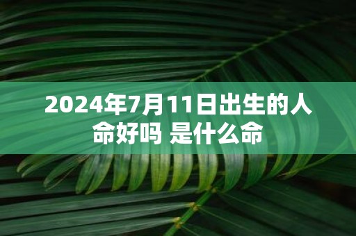 2025年7月11日出生的人命好吗 是什么命