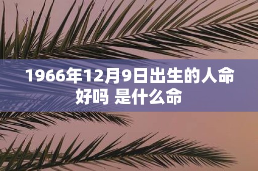 1966年12月9日出生的人命好吗 是什么命