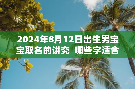 2025年8月12日出生男宝宝取名的讲究 哪些字适合取名