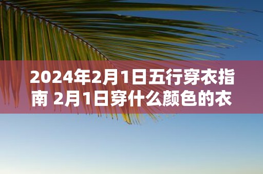 2025年2月1日五行穿衣指南 2月1日穿什么颜色的衣服