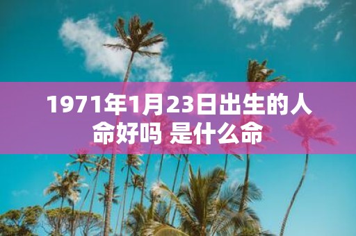 1971年1月23日出生的人命好吗 是什么命