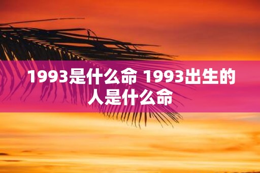 1993是什么命 1993出生的人是什么命