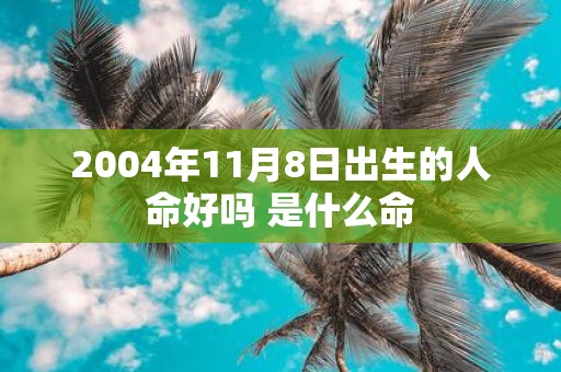 2004年11月8日出生的人命好吗 是什么命