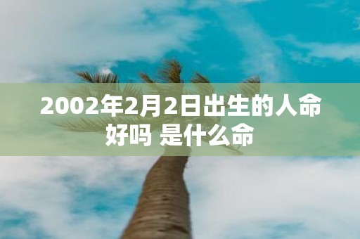 2002年2月2日出生的人命好吗 是什么命