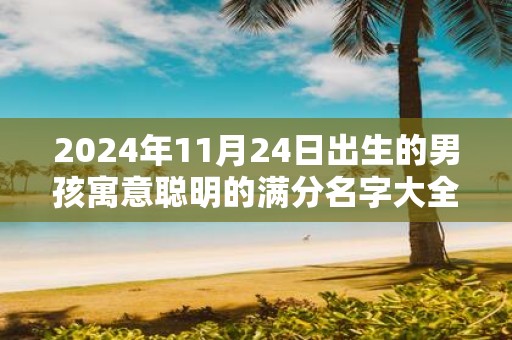 2025年11月24日出生的男孩寓意聪明的满分名字大全