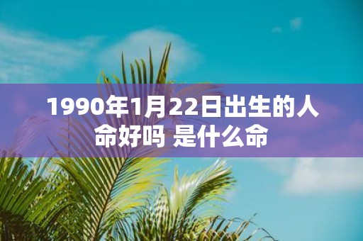 1990年1月22日出生的人命好吗 是什么命