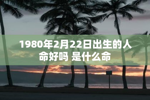 1980年2月22日出生的人命好吗 是什么命