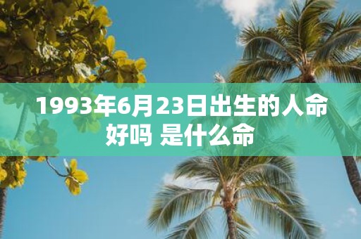 1993年6月23日出生的人命好吗 是什么命