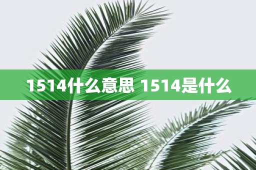 1514什么意思 1514是什么