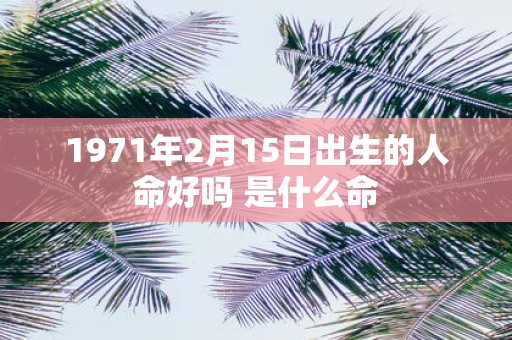 1971年2月15日出生的人命好吗 是什么命