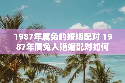 1987年属兔的婚姻配对 1987年属兔人婚姻配对如何
