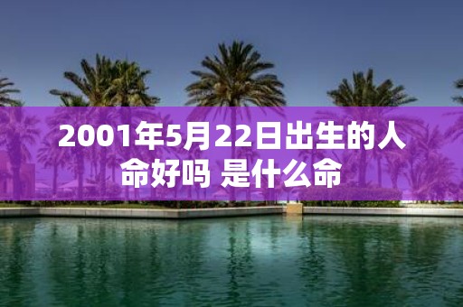 2001年5月22日出生的人命好吗 是什么命