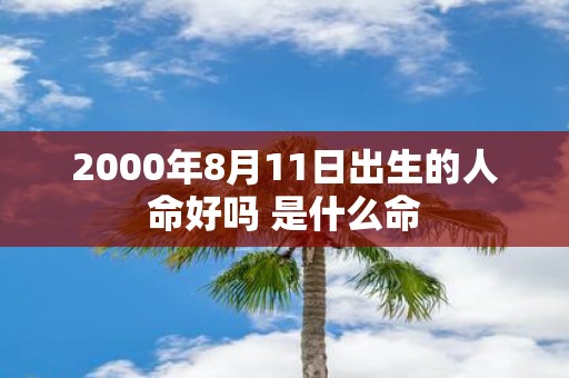 2000年8月11日出生的人命好吗 是什么命