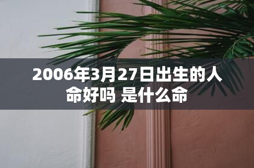 2006年3月27日出生的人命好吗 是什么命