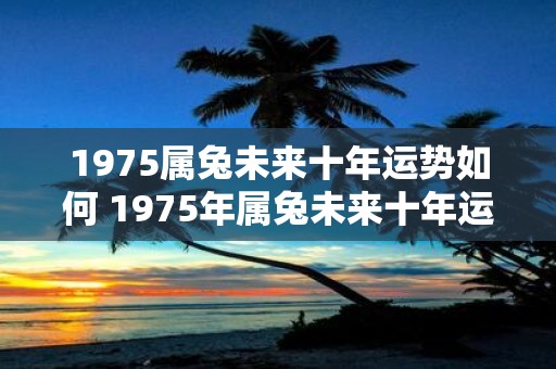 1975属兔未来十年运势如何 1975年属兔未来十年运势如何