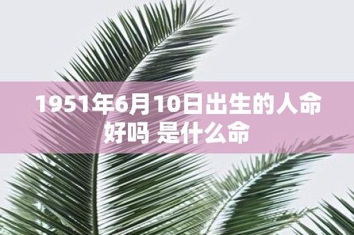 1951年6月10日出生的人命好吗 是什么命